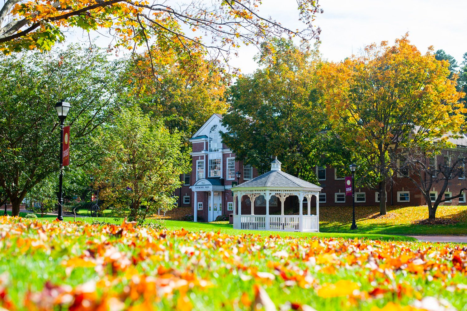 Western New England University