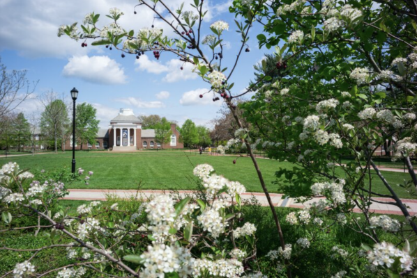 University of Delaware